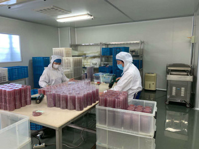 送政策、送口罩、幫復(fù)工 政府幫助虹口這家企業(yè)3天研制出病毒采樣管